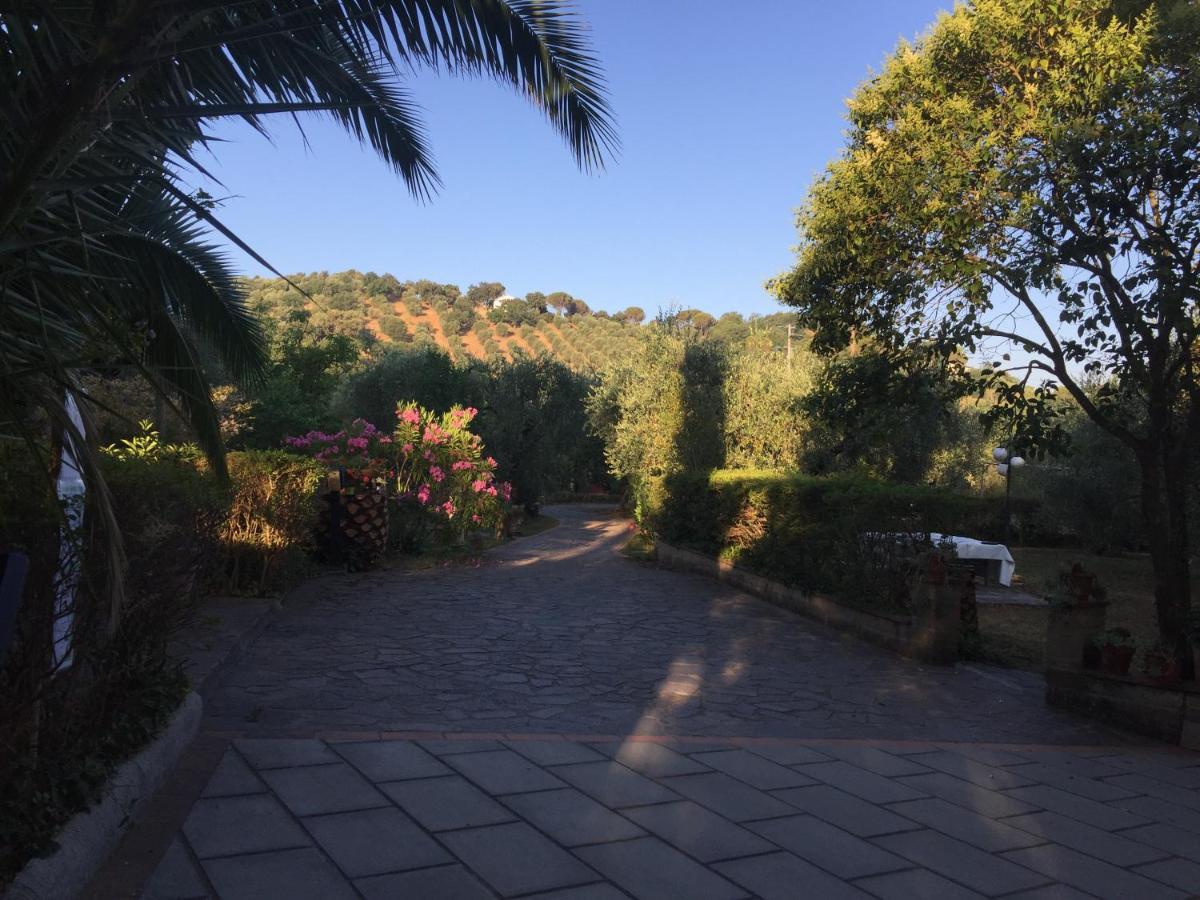 Agriturismo Buen Camino سكارلينو المظهر الخارجي الصورة