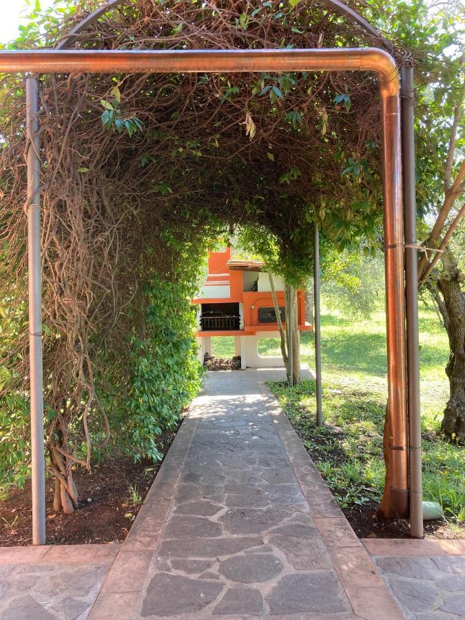 Agriturismo Buen Camino سكارلينو المظهر الخارجي الصورة